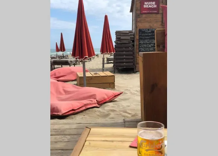 3 Pieces Avec Piscine Face A La