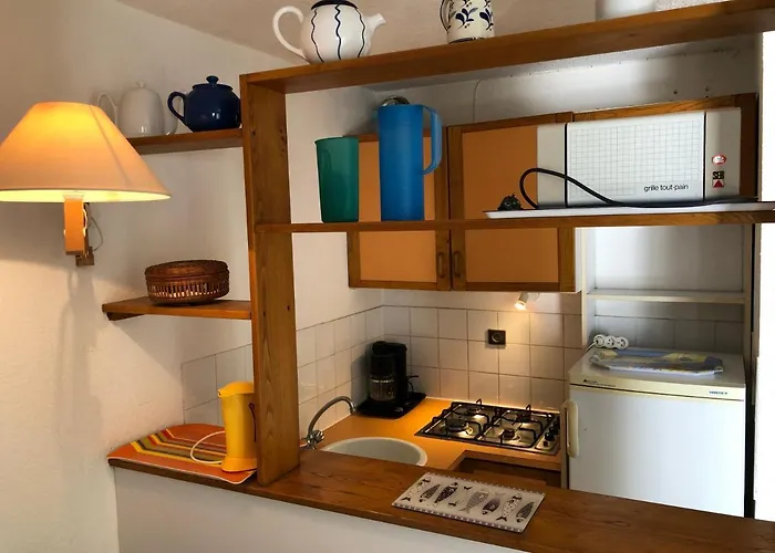 Apartment 3 Pieces Avec Piscine Face A La *